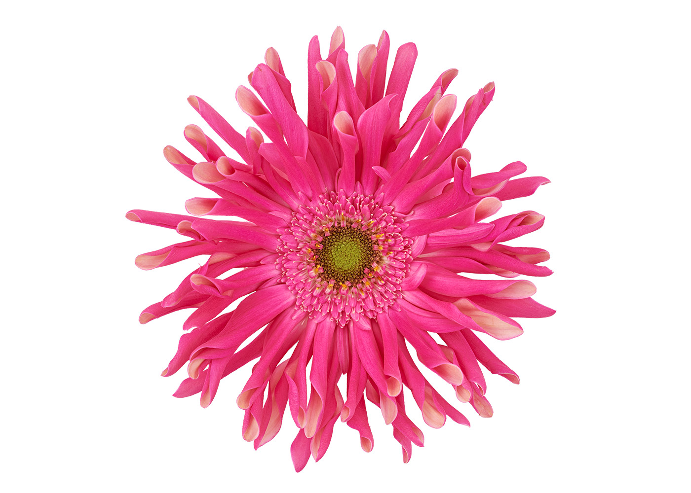 Farbe