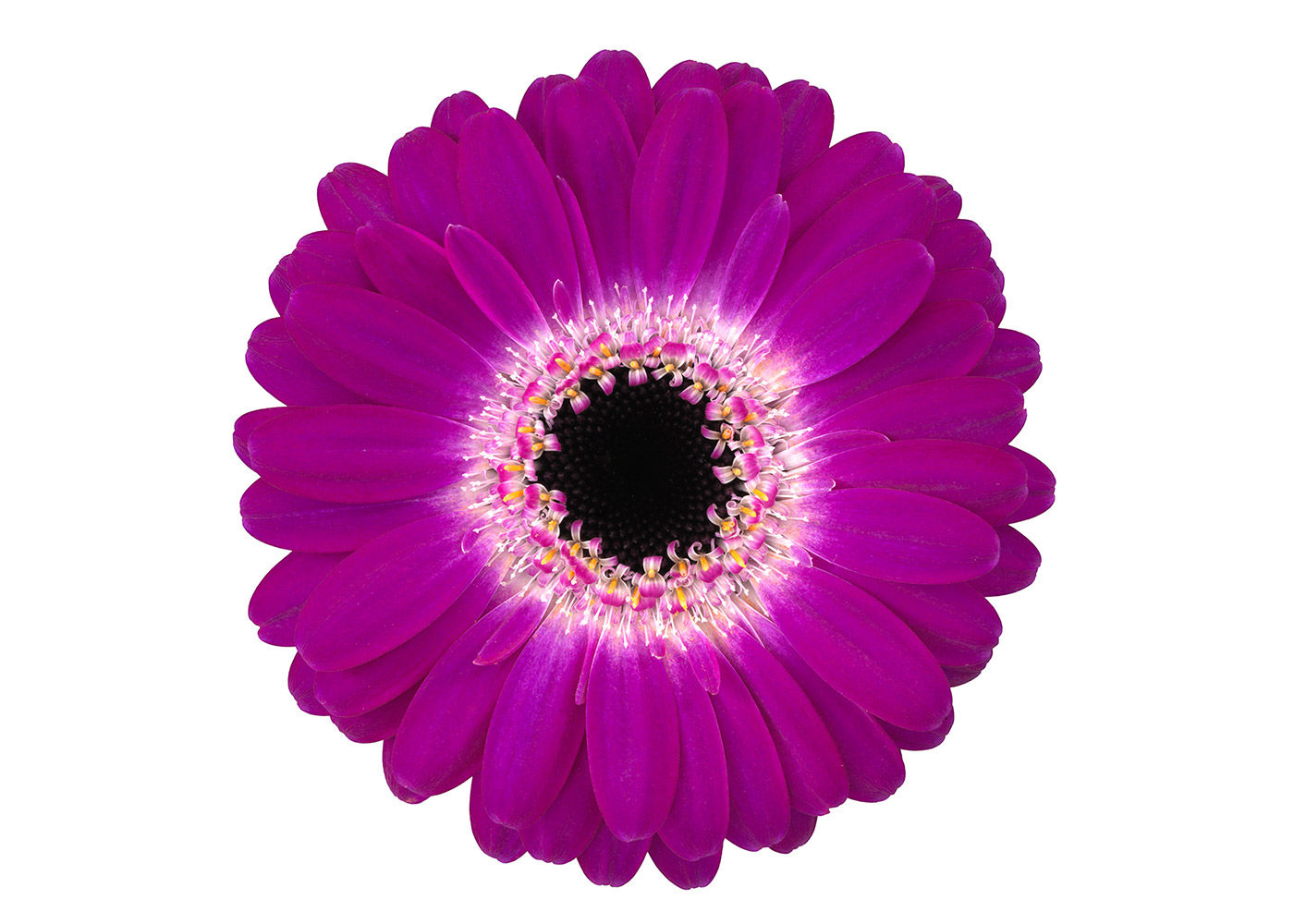 Farbe