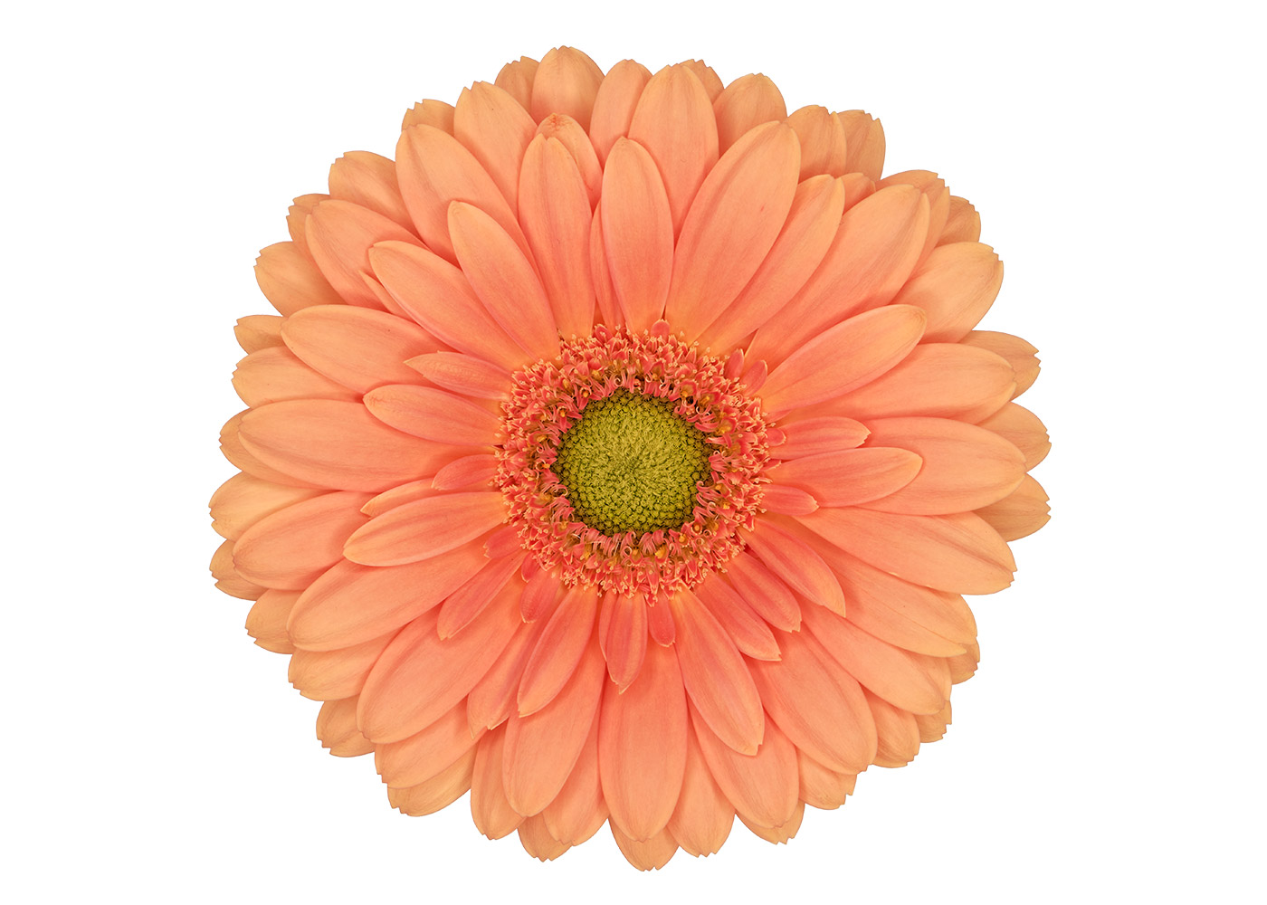Farbe