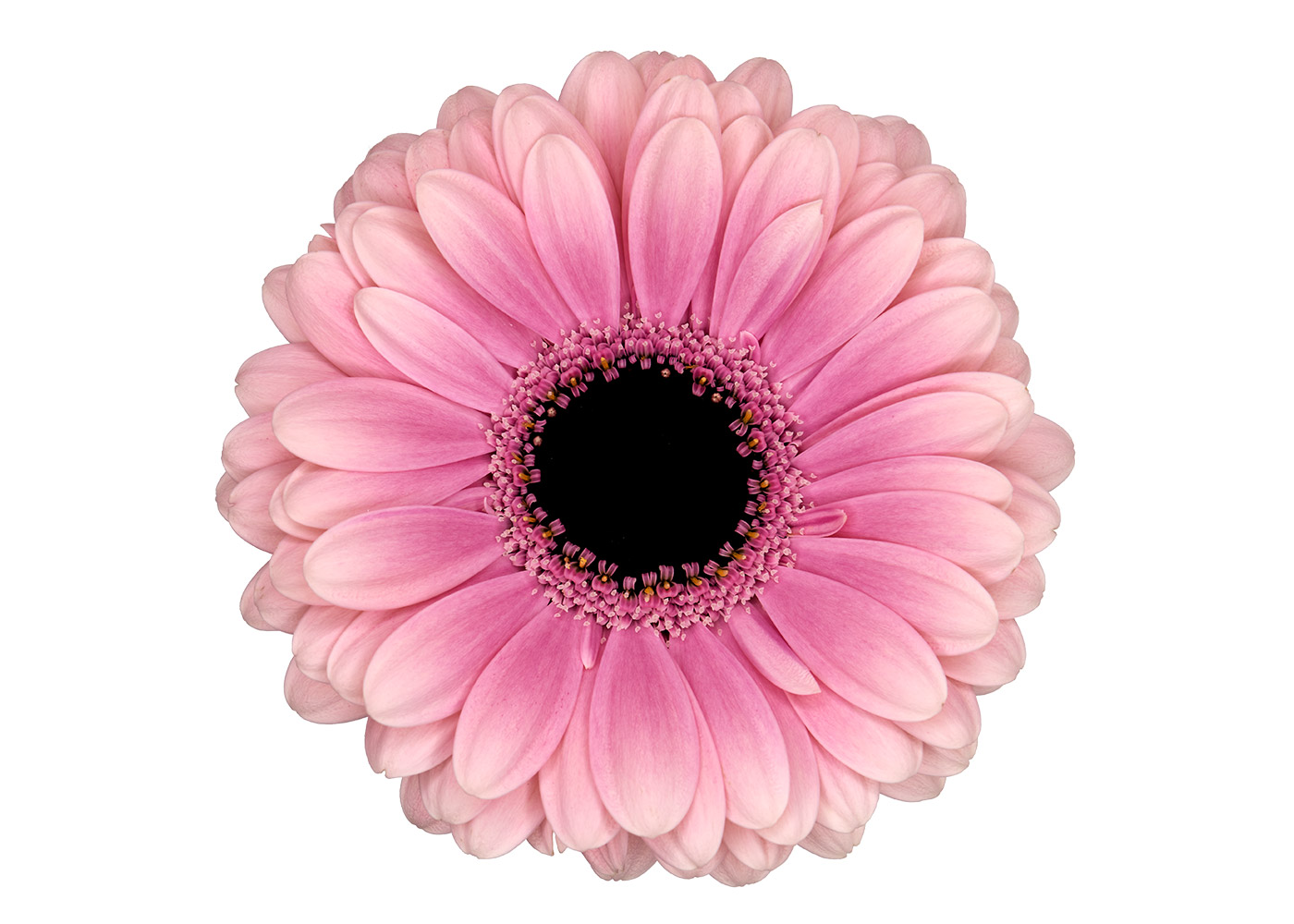 Farbe