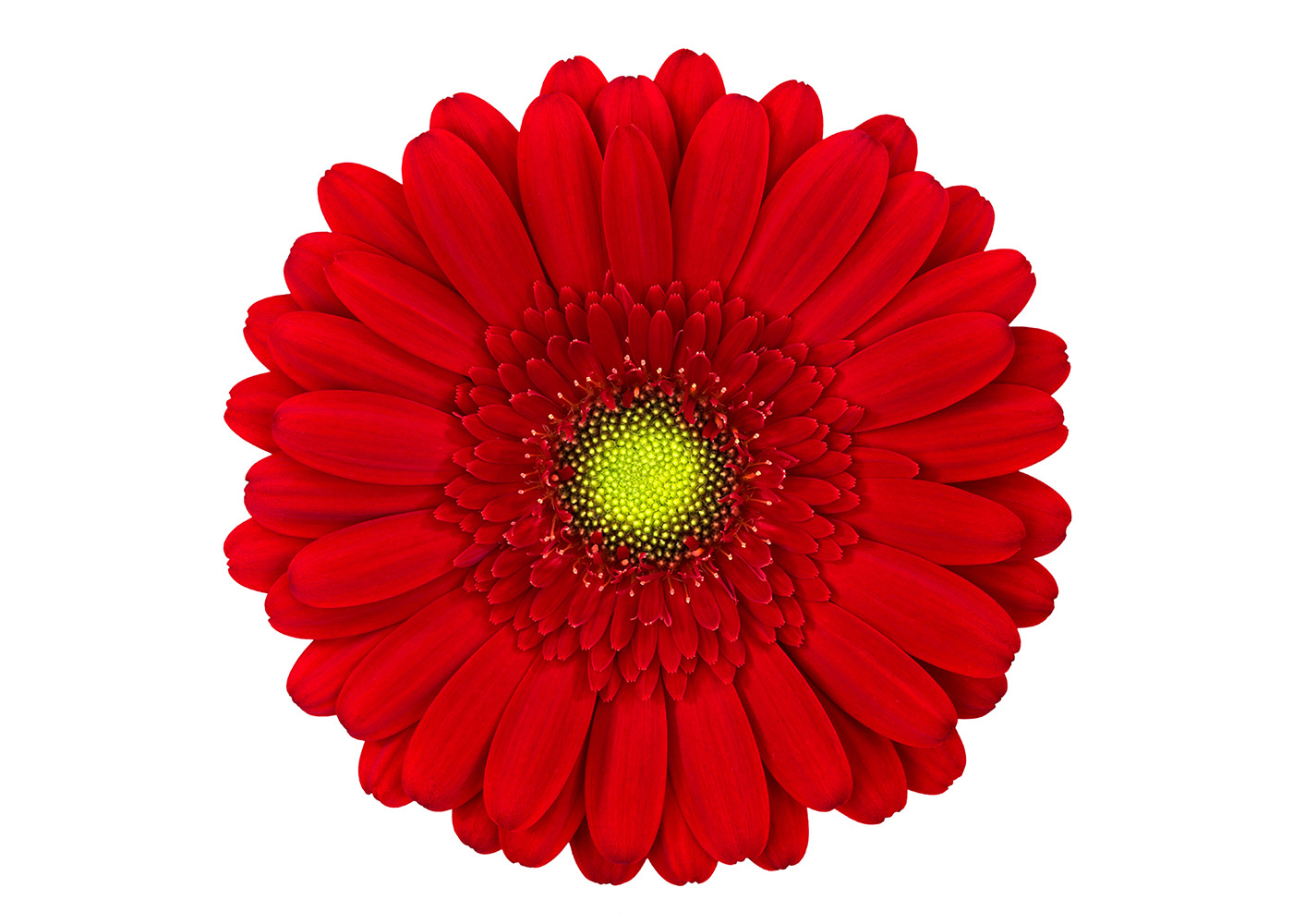Farbe