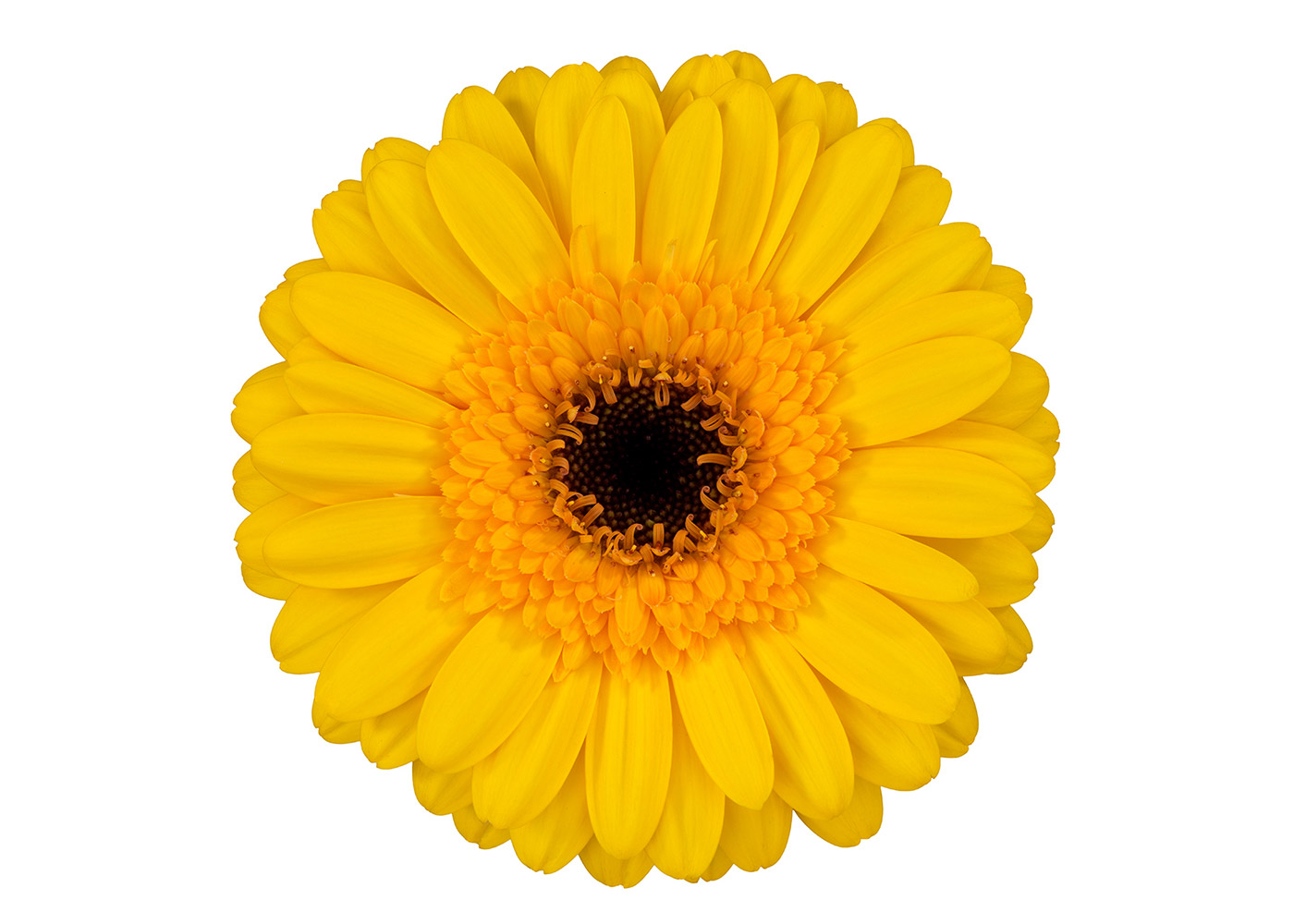 Farbe