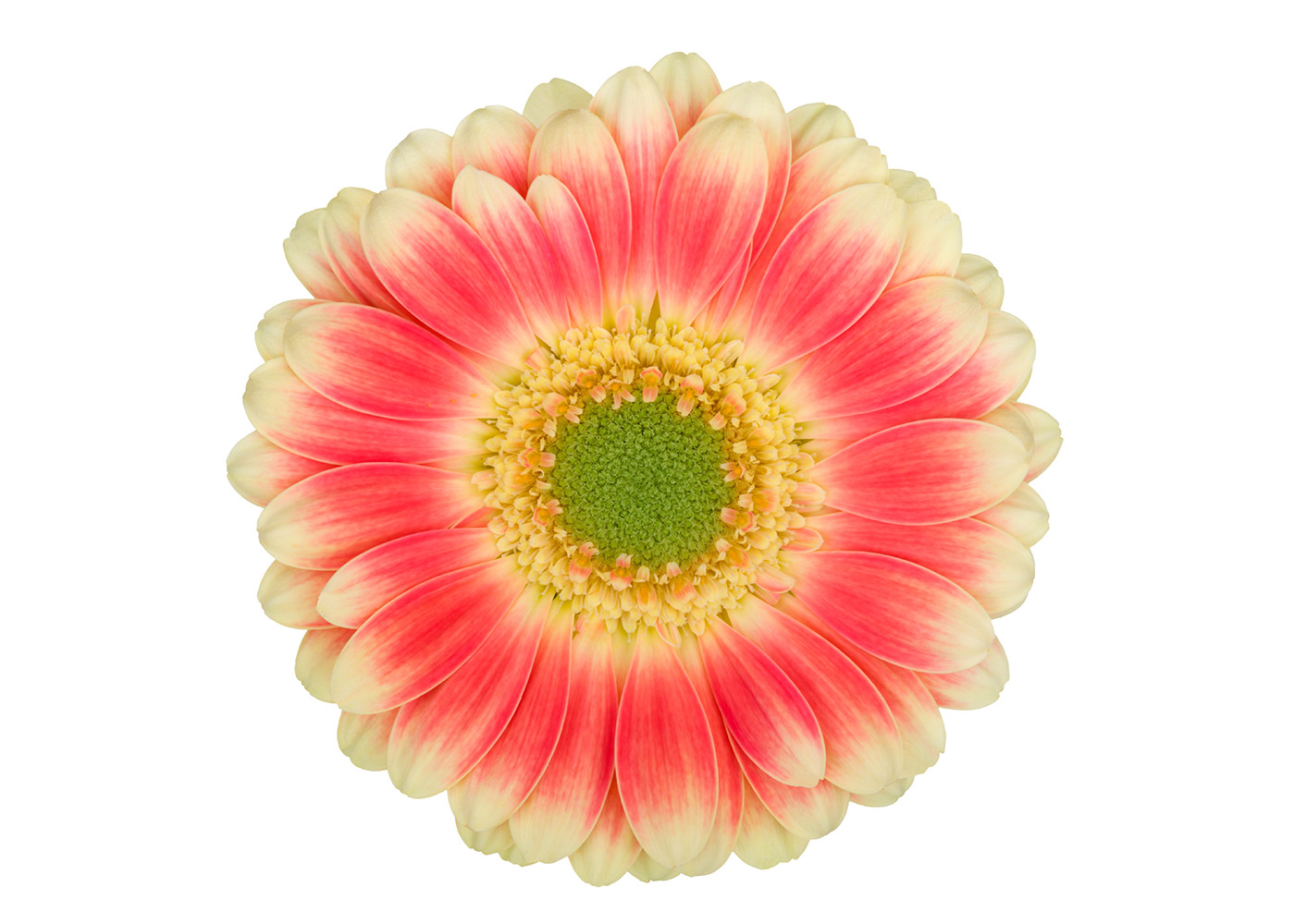 Farbe