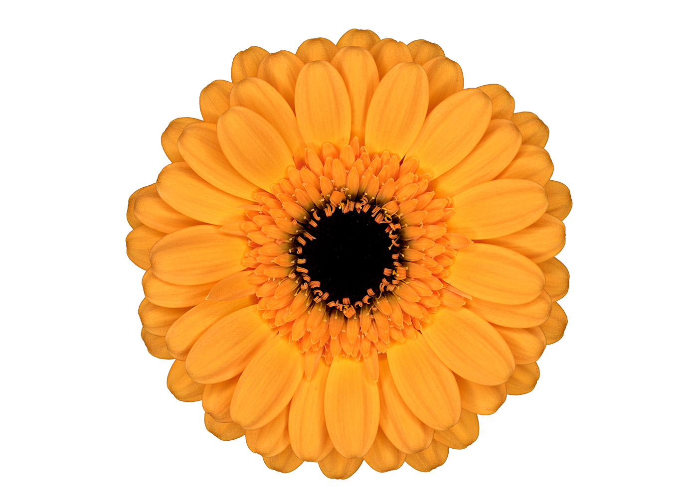 Farbe