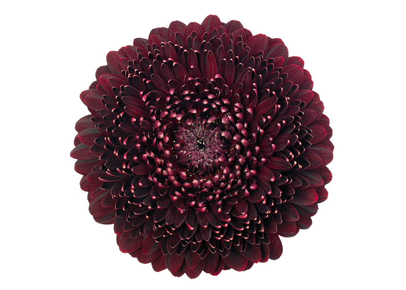 Farbe