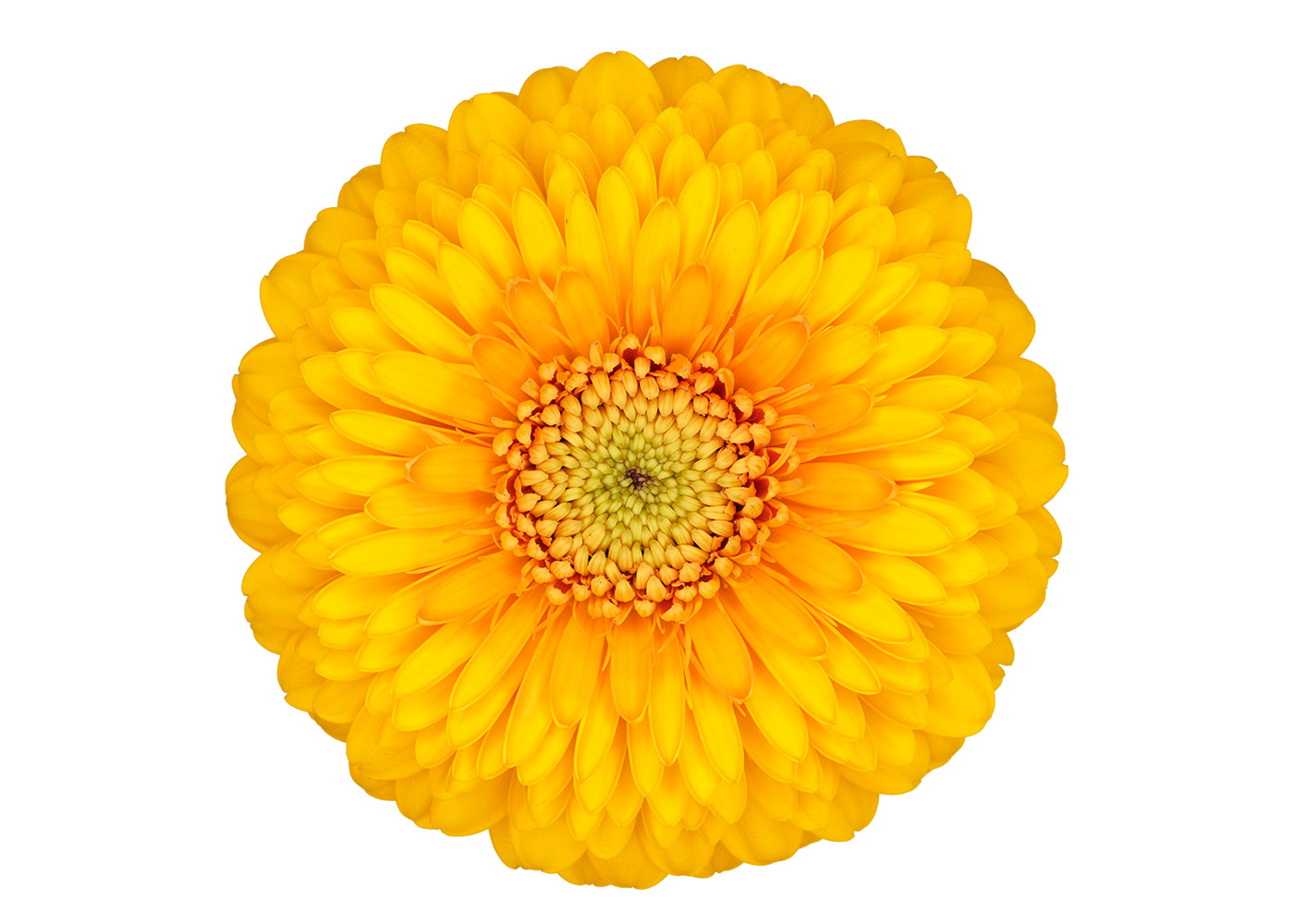 Farbe