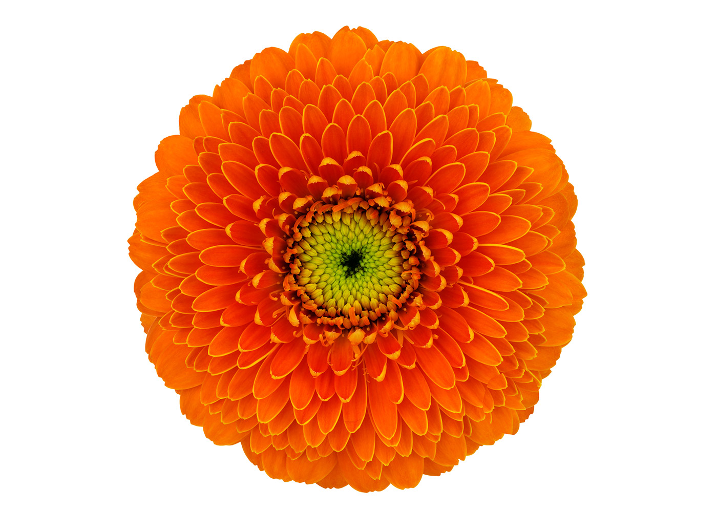 Farbe