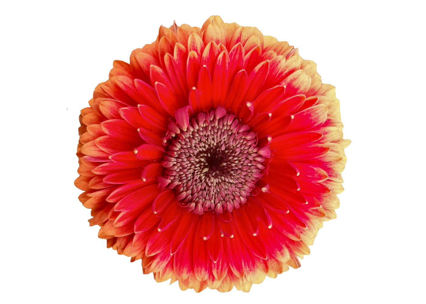 Farbe